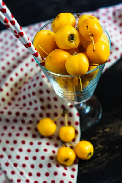 Autumnal concept with crab apples — Stock Photo, Image