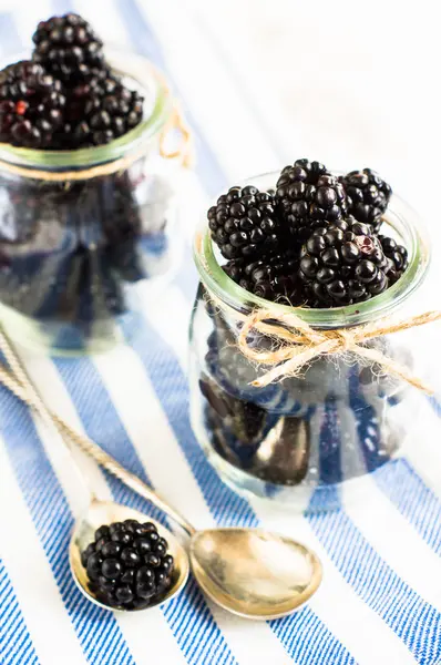 成熟的有机黑莓 — 图库照片