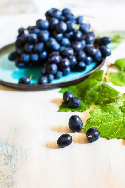 Frutta biologica autunnale — Foto Stock