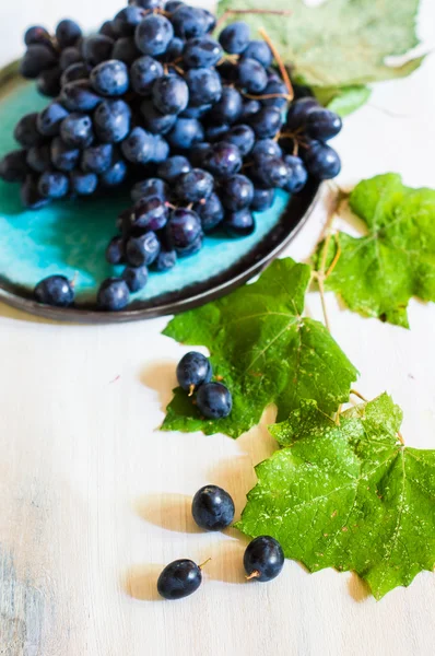 Autumnal organic fruits — Stock Photo, Image