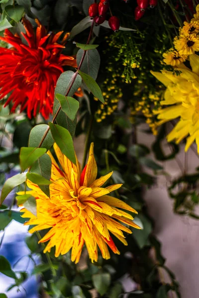 Marco Floral Otoñal Realizado Con Flores Color Amarillo Brillante Rojo — Foto de Stock