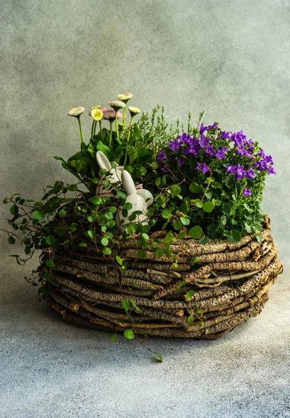 Tavaszi Húsvéti Virágkompozíció Különböző Szezonális Virágok Mint Belső Dekoráció — Stock Fotó