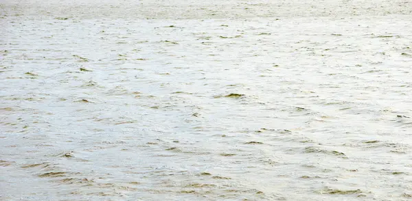 春天暴风雨季节湖面上的波浪 — 图库照片