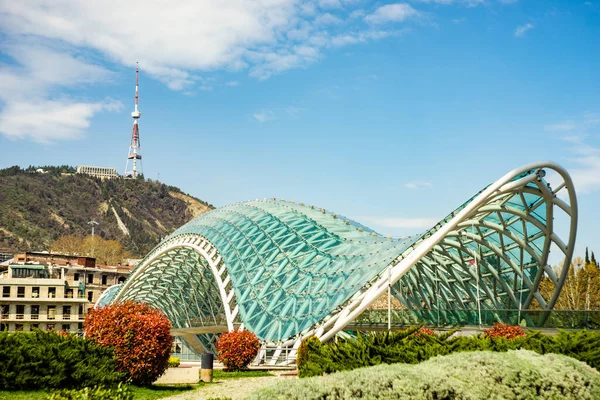 April 2021 Tbilisi Georgien Rike Park Und Berühmte Gläserne Friedensbrücke — Stockfoto