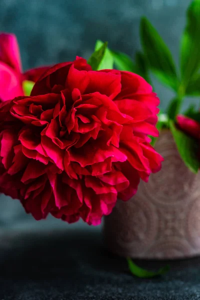Decoração Interiores Com Vaso Cerâmica Copo Com Flores Peônias Vermelhas — Fotografia de Stock