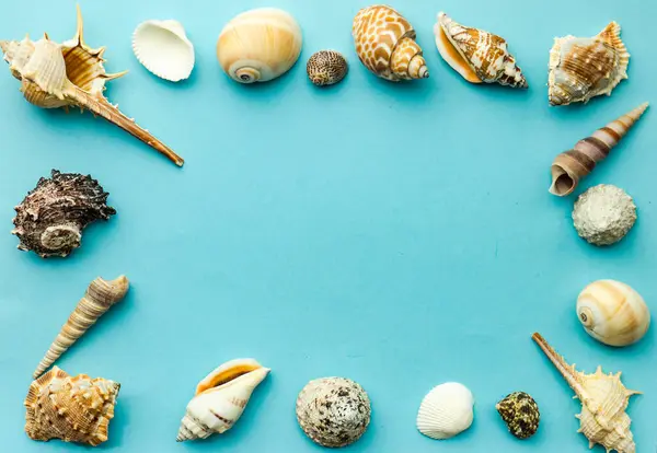 Flat Lay Composição Verão Com Conchas Mar Fundo Azul Com — Fotografia de Stock