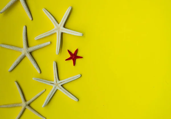 Composición Plana Verano Con Estrellas Mar Sobre Fondo Amarillo Con — Foto de Stock