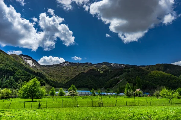 夏初格鲁吉亚高加索山区景观 — 图库照片