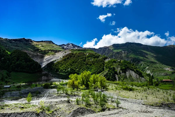 Paisagem Montanhosa Cáucaso Georgiano Início Verão — Fotografia de Stock