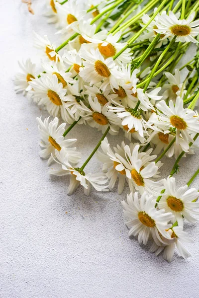 白色菊花放在混凝土桌子上作为夏天的背景 — 图库照片