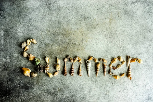 Word Summer Gemaakt Met Zeeschelpen Een Betonnen Ondergrond Als Asummer — Stockfoto