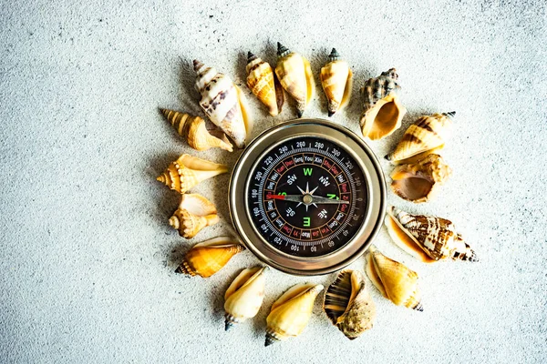 Fondo Verano Con Brújula Conchas Marinas Sobre Fondo Hormigón — Foto de Stock