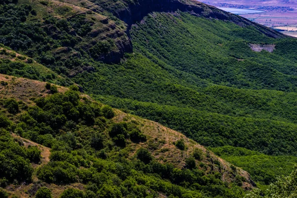 Sommar Bakgrund Med Skog Sluttningarna Kaukasus Berg — Stockfoto