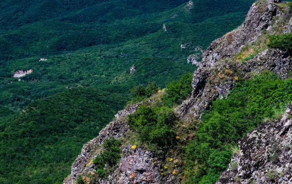 Nyári Háttér Erdő Lejtőin Kaukázus Hegyek — Stock Fotó