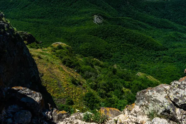 Sommar Bakgrund Med Skog Sluttningarna Kaukasus Berg — Stockfoto