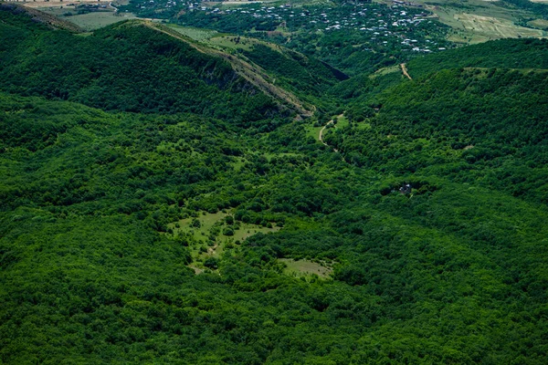 Sommar Bakgrund Med Skog Sluttningarna Kaukasus Berg — Stockfoto