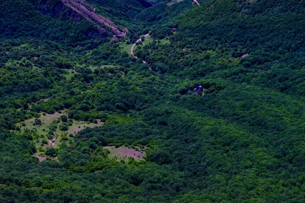 コーカサス山脈の斜面に森がある夏の背景 — ストック写真