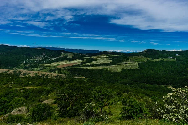 Fundo Verão Com Floresta Nas Encostas Das Montanhas Cáucaso — Fotografia de Stock