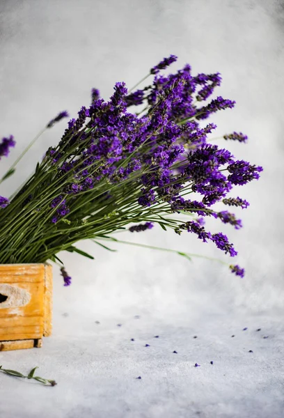 Caja Con Flores Lavanda Ramo Sobre Fondo Hormigón Blanco —  Fotos de Stock