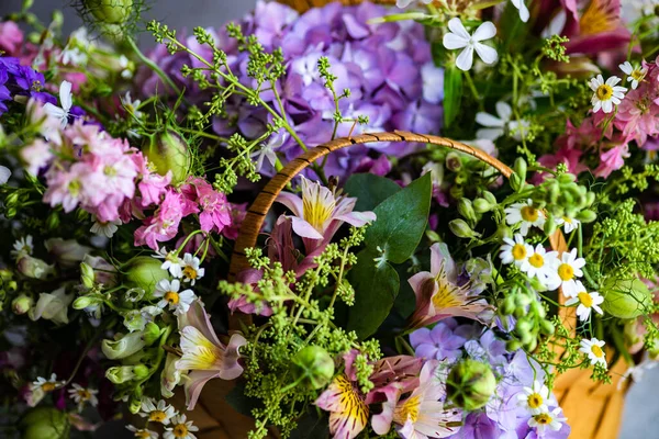 Frische Sommerliche Florale Komposition Auf Betongrund — Stockfoto