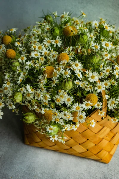 Fresca Composizione Floreale Estiva Con Margherita Prato Sfondo Cemento — Foto Stock