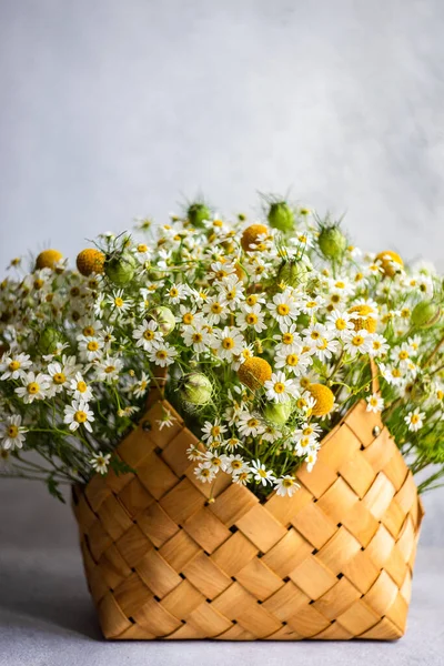 Fresca Composizione Floreale Estiva Con Margherita Prato Sfondo Cemento — Foto Stock