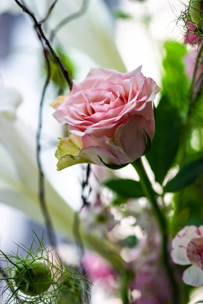 Verse Zomer Bloemige Compositie Beton Achtergrond — Stockfoto