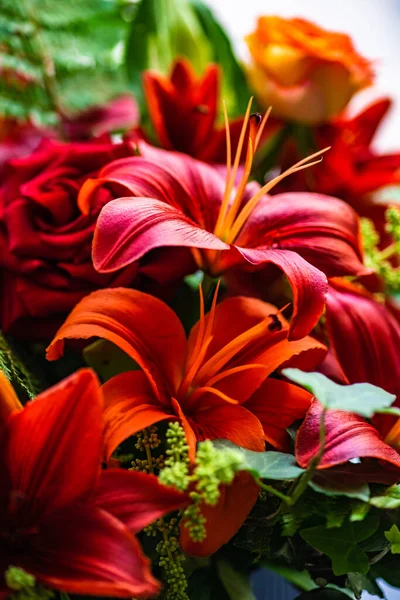 Summer Flolar Composition Concept Variety Seasonal Flowers — Fotografia de Stock