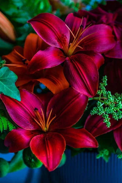 Summer Flolar Composition Concept Variety Seasonal Flowers — Stockfoto