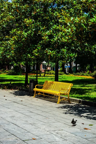 Boulevard Park Zone Med Metal Farvet Haven Bænk Blandt Magnolia - Stock-foto