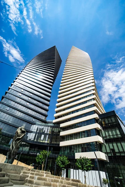 Famoso Edificio Espiral Gemelos Blancos Negros Ubicado Avenida Chavchavadze Centro — Foto de Stock