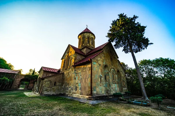 Betânia Mosteiro Complexo Montanha Perto Capital Georgiana Tbilisi — Fotografia de Stock