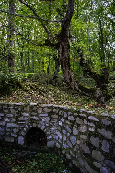 Landsbygdslandskap Gombori Pass Georgien — Stockfoto