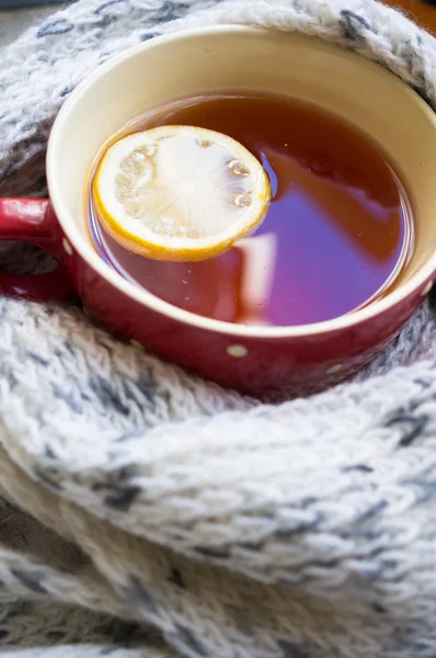 Tasse de thé chaud dans le temps froid — Photo