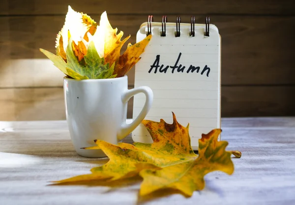 Autumn time — Stock Photo, Image