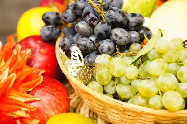 Flores y frutas de otoño — Foto de Stock