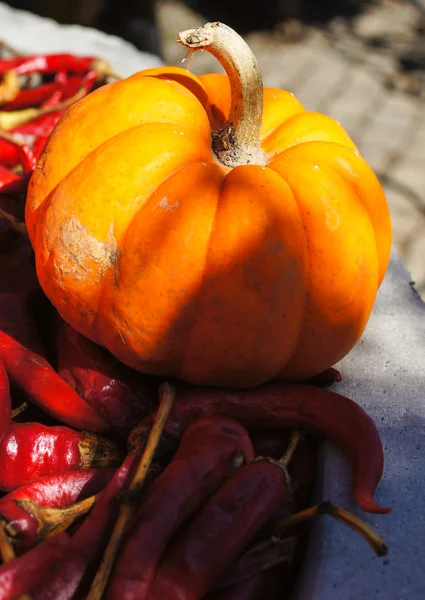 Kleurrijke pompoenen — Stockfoto