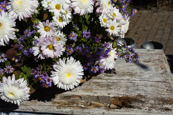 Herfst bloemen in een vaas — Stockfoto