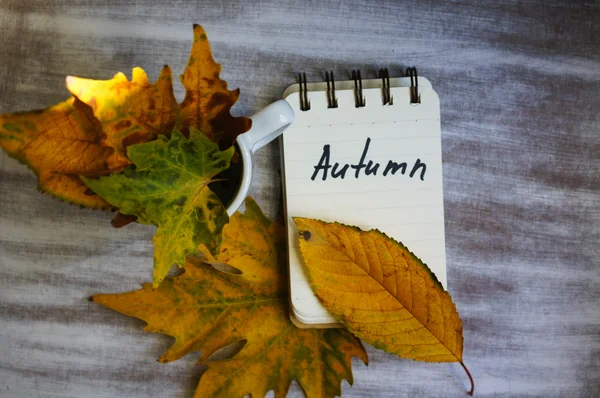 Tiempo de otoño — Foto de Stock