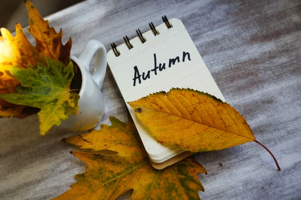 Tiempo de otoño — Foto de Stock