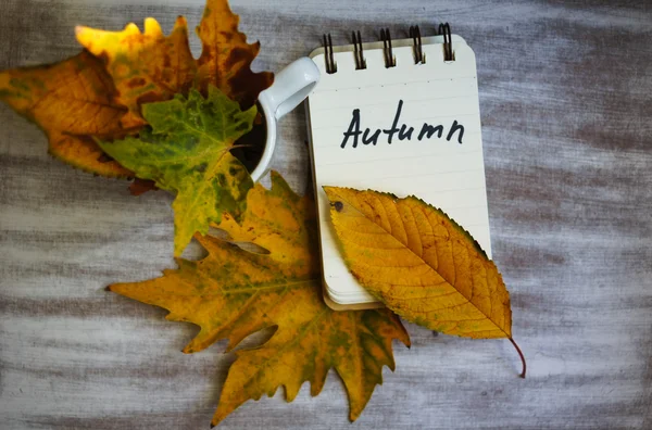 Autumn time — Stock Photo, Image
