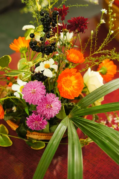 Flores e frutos do outono — Fotografia de Stock