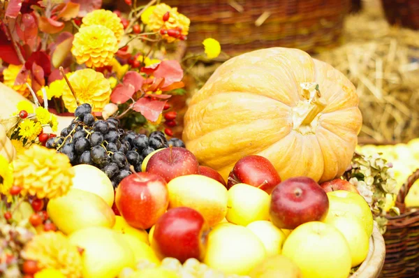 Herbstblumen und Früchte — Stockfoto