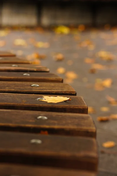 Park in Tiflis — Stockfoto