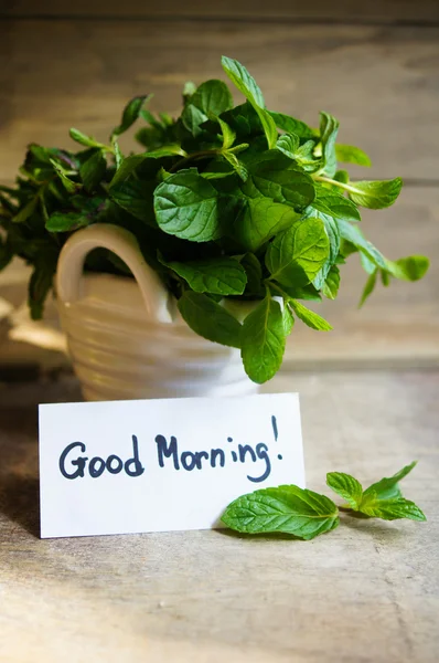 Fresh mint — Stock Photo, Image