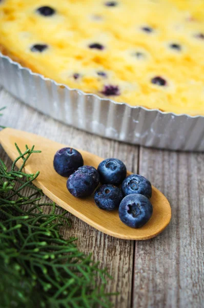 Blaubeerkuchen — Stockfoto