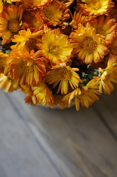 Höstens blommor — Stockfoto