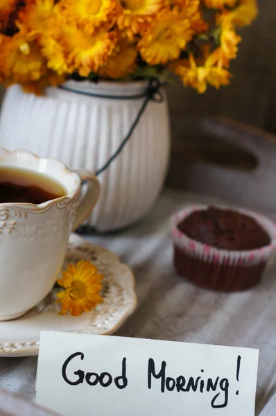 Magdalenas de chocolate —  Fotos de Stock