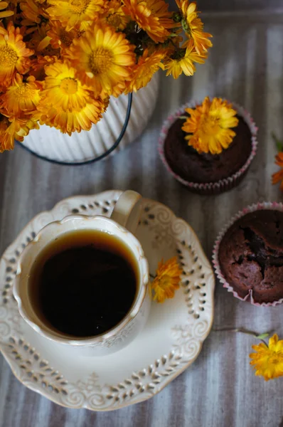 Cupcakes de chocolate — Fotografia de Stock