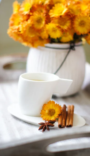 Taza de té — Foto de Stock